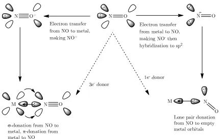 Figure 1-3: The relationship between linear and bent nitrosyl complexes (Figure adapted fromreference 8).