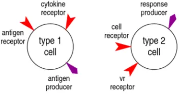 Figure 1.2:  The two different cell types implemented in twocell. 