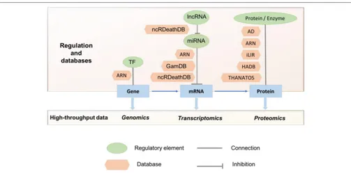 FIGURE 2 | Studies using multi-omics data to understand autophagy and its regulation. Currently available autophagy-related databases highlighting the differentstages of regulation and high-throughput data are shown