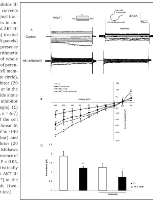 Fig. 5. Effect of AKT inhibitor III on amiloride-sensitive Na+ currents in Ishikawa cells