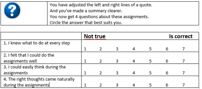 Figure 4. Screenshot items flow questionnaire  
