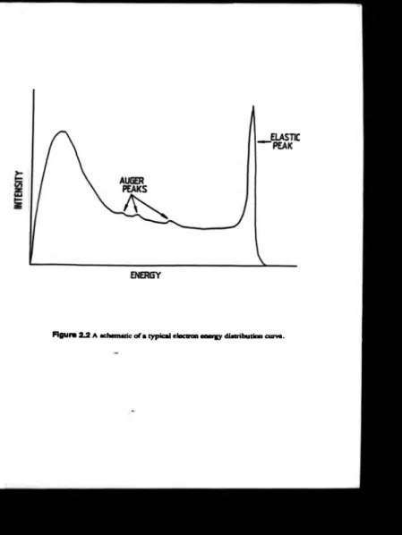 Figure 2J1 A  schematic o f  a  typical electron energy distribution curve.