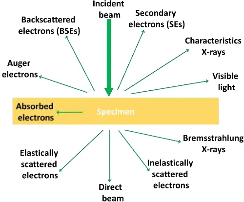 Figure 1.7 Various signals produced upon electron-matter interaction.