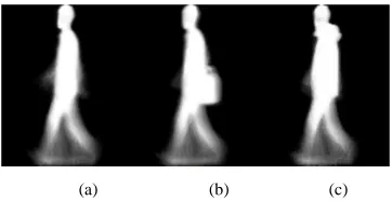 Fig. 4 Gait recognition framework 