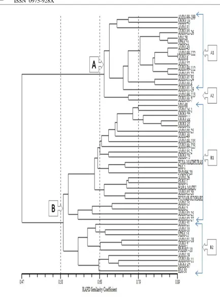 Figure 4.UPGMA dendrogram displaying the genetic similarity estimates according to RAPD within the 50 genotypes of Muskmelon