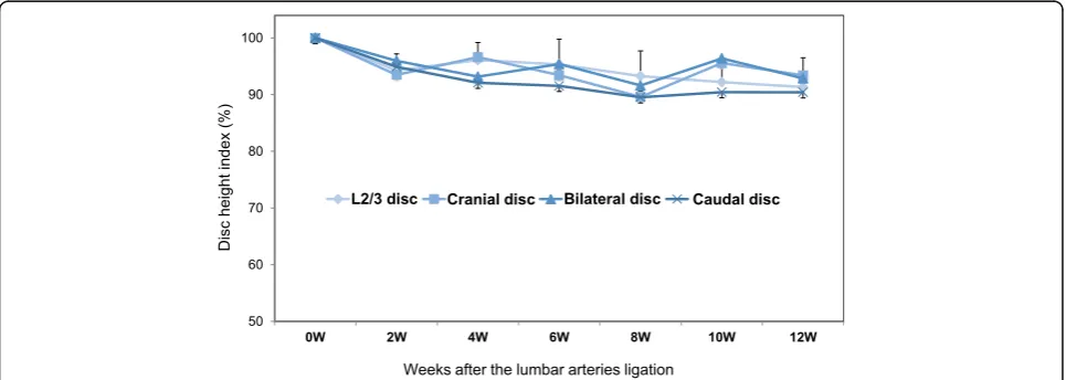 Fig. 5 Change in percent disc height index (%DHI). No significant difference in %DHI was found between the L2/L3 (control) discs and theischemia group (cranial, bilateral and caudal discs) in the rabbit lumbar ligation model