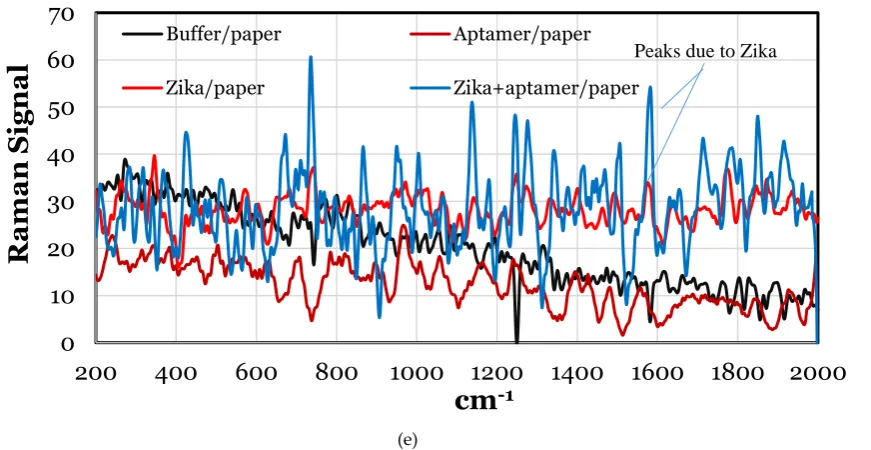 Figure 7. a) AFM image of the Zika on aptamer-coated paper. The scale is 10 µm. b) AFM image of Zika on gold substrate showing the Zika step height of ~ 40 nm to demonstrate Zika on the aptamer-coated gold surface