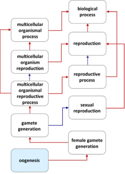 Fig. 2, where the genes annotated to oocytes-related MeSH terms 