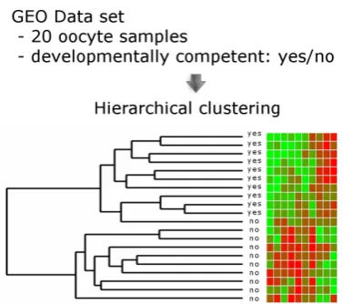 Fig. 2. Literature-based gene expression analysis. Medical subject heading (MeSH) terms and their annotated genes are used to create a network of keywords where the terms that share a significant number of annotated genes are linked.