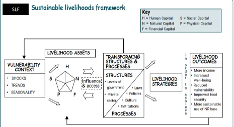 Figure 2.  The Sustainable livelihoods Framework Source: DFID, 1999 