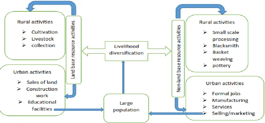 Figure 5. Livelihood Diversification Framework Source: Adapted, based on Ellis (2000)  