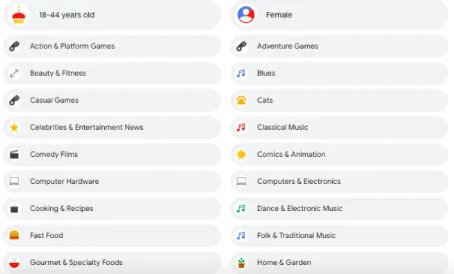 Figure 2: The author’s ad targeting attributes assigned by Google