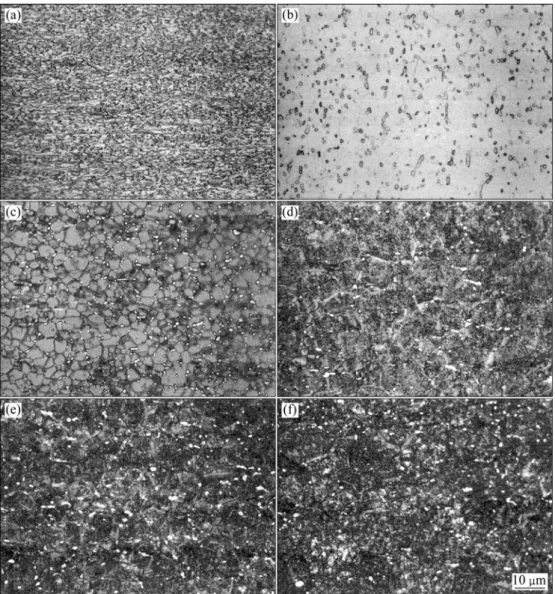 Fig. 2 Microstructures of investigated LCB Ti-alloy in different conditions: (a) Swaged; (b) Solution treated; (c) RX+aging for 0.25 h;  
