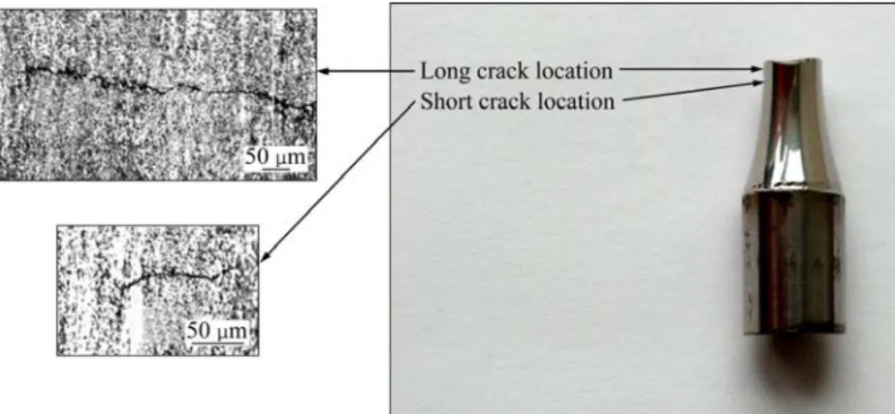 Fig. 4 Long and short cracks existing on outer surface of fatigue sample 