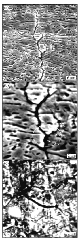 Fig. 5 Fatigue crack propagation through β-phase grain  boundaries 