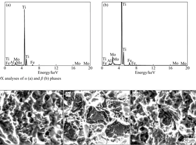 Fig. 7 EDX analyses of α (a) and β (b) phases 