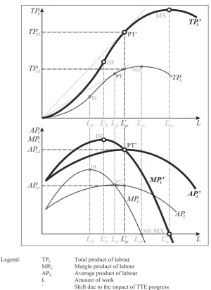 Figure 1. Production fiction, average and marginal product of two consecutive short-term progresses and impact of TTE Source: own elaboration 