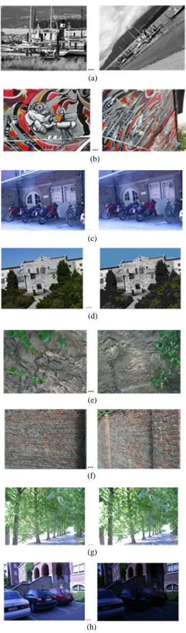 Fig. 6  Mikolajczyk Dataset 