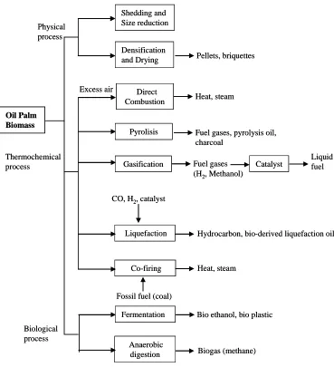 Fig 2. Oil palm biomass conversion technologies [4,14-18]   