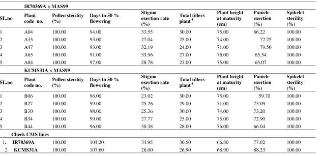 Table 2. Superior MAS 99 converted CMS plants identified in BC3F1 populations derived from IR70369A × MAS99 and KCMS31A × MAS99 crosses in                 rice 