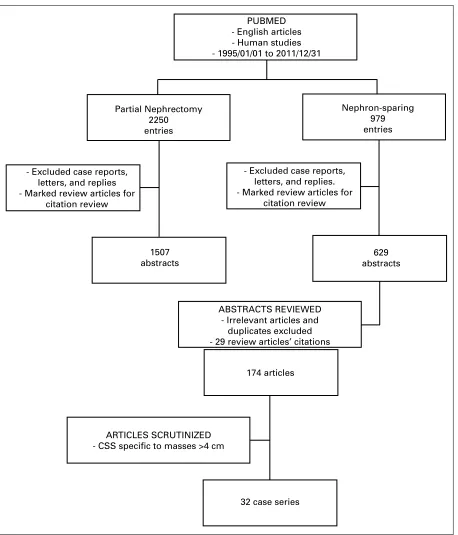 Fig. 1. Overview of search strategy and study selection.