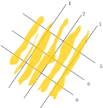 Figure 1.  A group of aligned long structures has a high anisotropy: test lines  make few intercepts through the solid objects in the direction of the long axis of  the structures, but perpendicular to the structures the lines make many more  intercepts (n