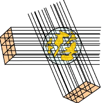 Figure 2.  For the MIL analysis, a grid of lines is sent through the volume over a  large number of 3D angles (just two are illustrated here)
