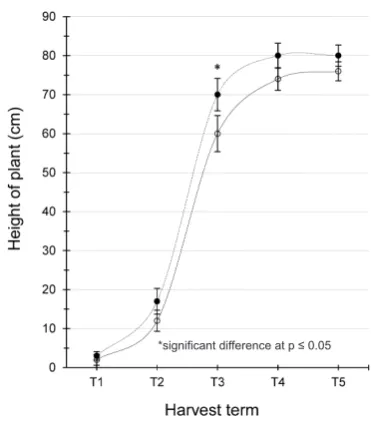 Fig. 5. Growth curve of pea plants grown from seeds treated and not treated with laser light.