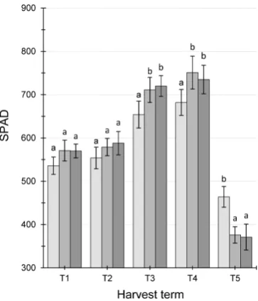 Fig. 6. Change in the leaf area of pea plants grown from seeds nontreated and not treated with laser light