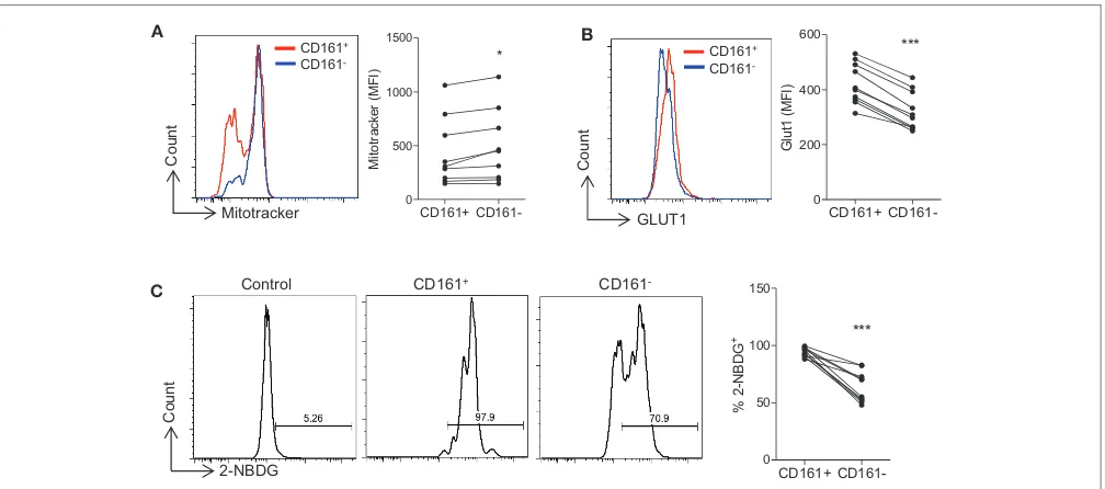 FIGURE 1 | Th17-lineage cells show increased expression of glycolytic markers compared with non-Th17 cellsCD4stimulated in the presence of anti-CD3 and irrAPC