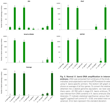 Fig. 5. Normal X. laevis DNA amplification in interorder hybrid embryos. DNA was extracted from embryos of the kinds and stages indicated, and subjected to real-time qPCR analysis for selected genes using X