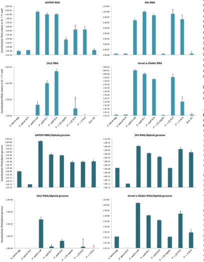 Fig. 7. Embryonic gene tran-scription in interorder cybrid St.7, St.8; St.9) diploid genome equivalents present in these embryos (from Figures 5-6)