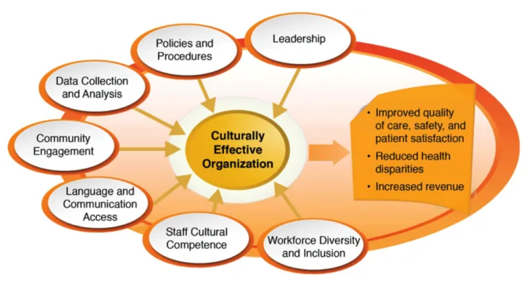 Figure 2: Framework for a Culturally Effective Organization