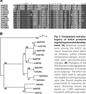Fig. 3. Comparison and phy-