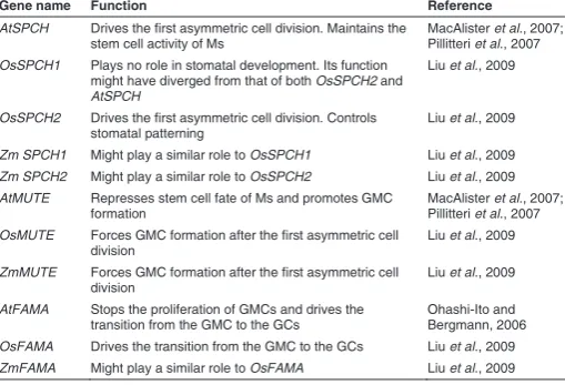TABLE 1