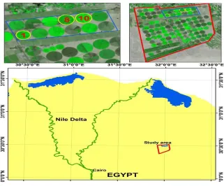 Figure 1. Shows study area location. 