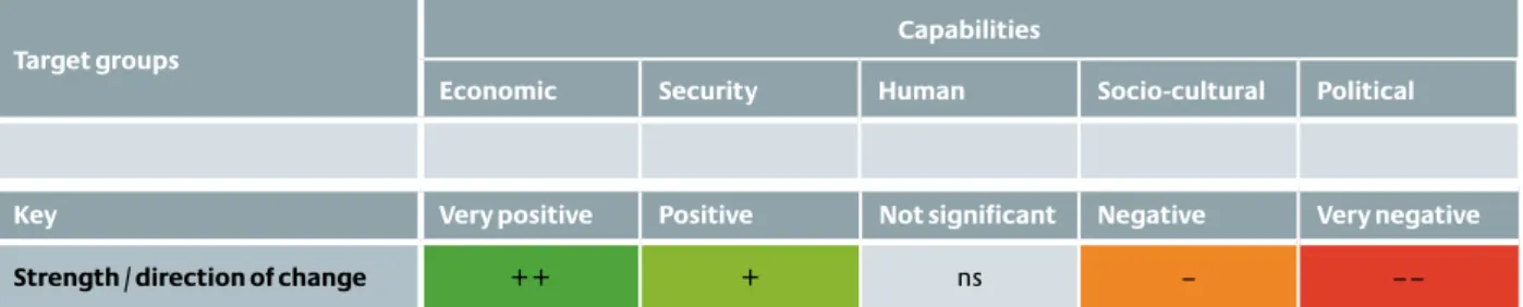 Table 7: Analysis of change impact concerning capabilities and target groups 