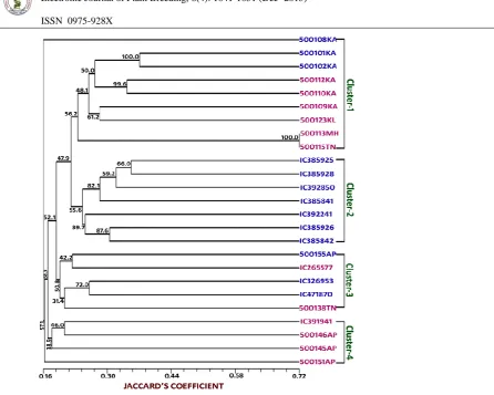 Figure 2. Dendrogram of the 25 M.pruriens genotypes obtained after UPMGA cluster analysis