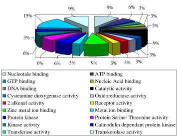 Figure 3. Putative functions of the 17 amplified sequences based on Gene Ontology analysis  