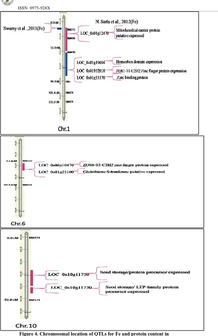 Figure 4. Chromosomal location of QTLs for Fe and protein content in  brown rice of 60 RIL’s derived from Swarna x Moroberekan
