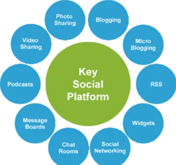Figure 2. Key social media platforms 