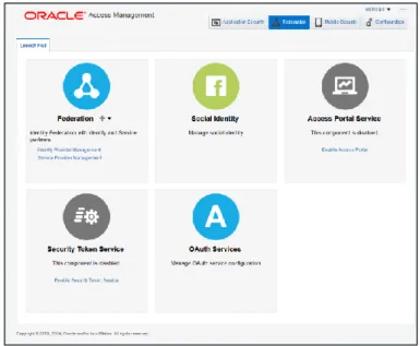 Figure 11: Oracle Access Management Identity Federation Services Launchpad 