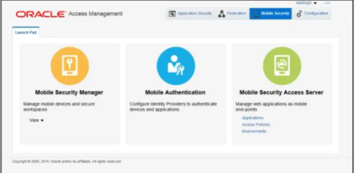 Figure 13: Oracle Access Management Mobile and Social Services Launchpad 