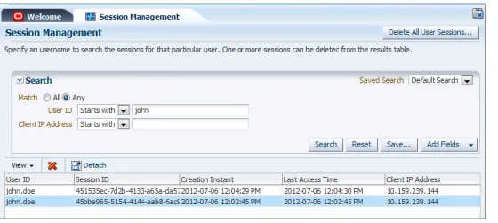 Figure 6. Session management interface in the console 
