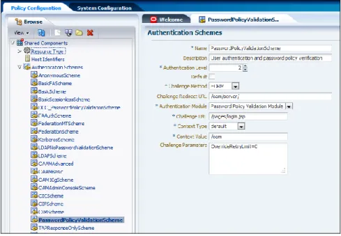 Figure 2. Interface to define an Authentication Scheme 
