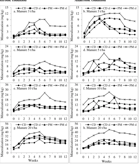 Figure 1. Trend of net P mineralization from manures under aerobic and anaerobic conditions  CD- Cowdung, CD sl- Cowdung slurry, PM-Poultry manure, PM sl-Poultry manure slurry  