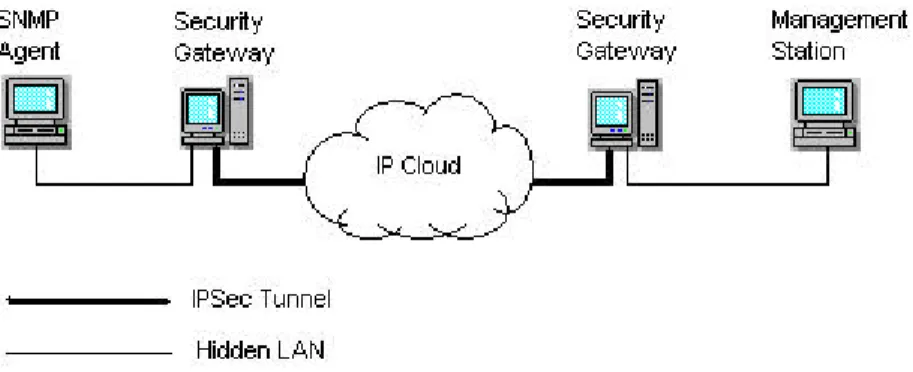 Figure 3-2.  A typical IPSec tunneled SA. 