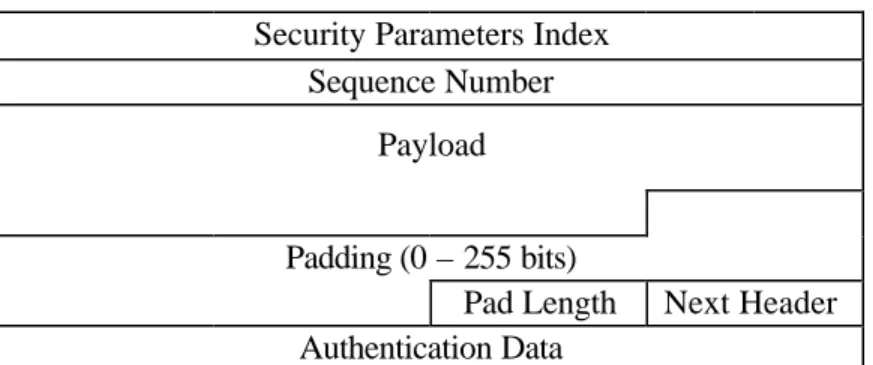 Figure 3-3.  ESP extension header. 