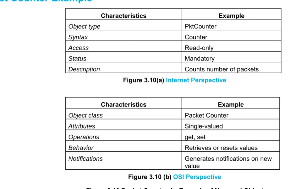 Figure 3.10(a) Internet Perspective 