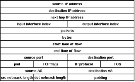 Figure 8.1: An example of the NetFlow v5 message format 